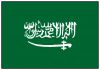 Como tirar o visto para Arbia Saudita